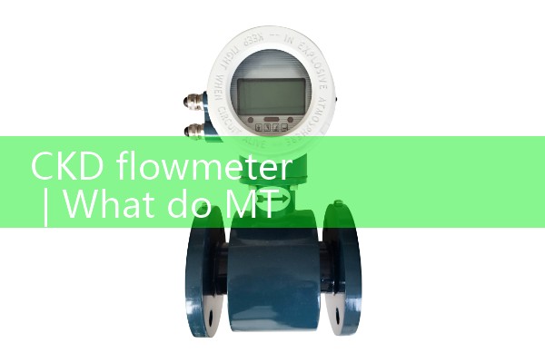 CKD flowmeter