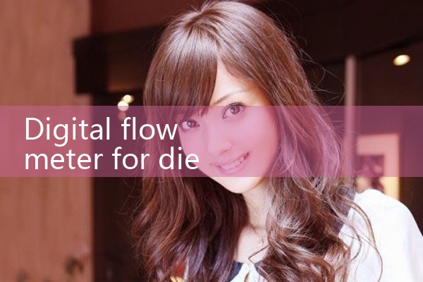 digital flow meter for diesel fuel|mass flow meter