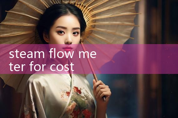 steam flow meter for cost allocation|balo meter