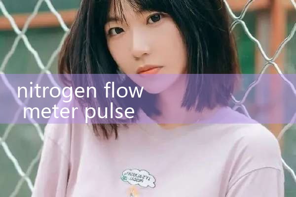 nitrogen flow meter pulse output|flow meter distributor