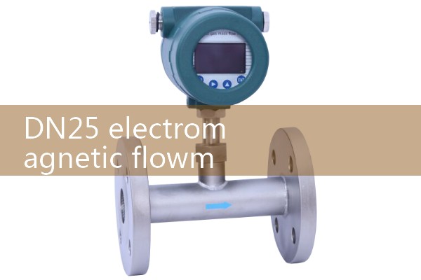 DN25 electromagnetic flowmeter