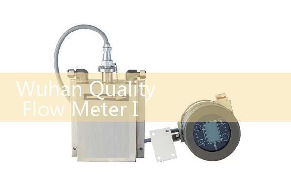 Wuhan Quality Flow Meter Investment Promotion