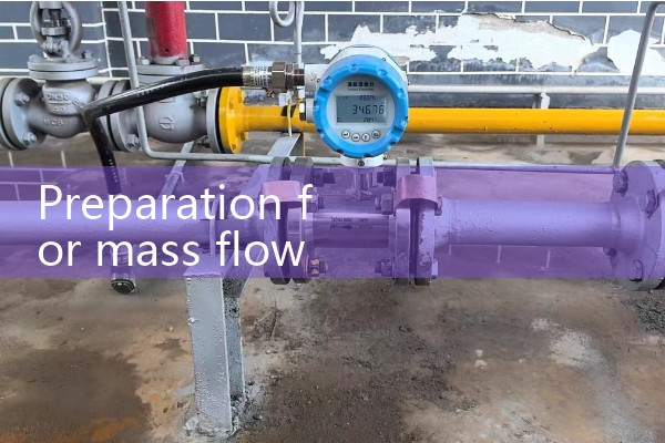 Preparation for mass flowmeter activation