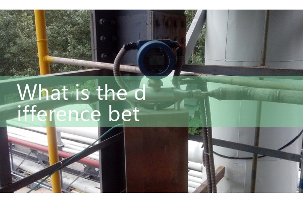 Vortex and electromagnetic flow meters