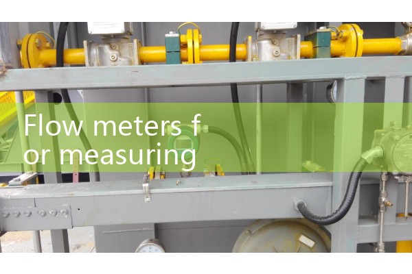 Flow meter for measuring gas flow rate