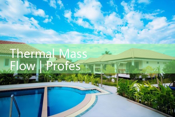 thermal mass flow|gas flow meter