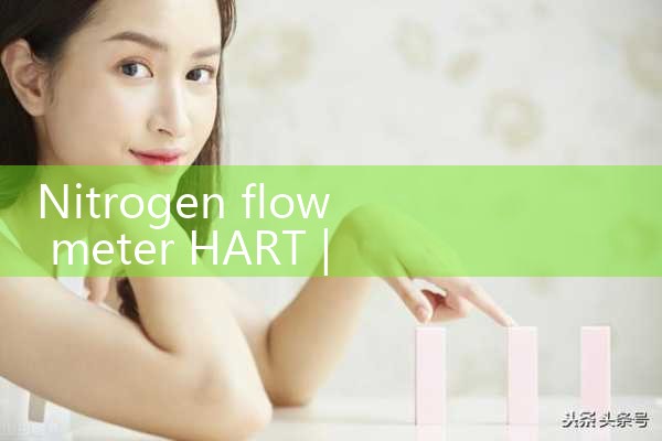 nitrogen flow meter HART|flow meter distributor