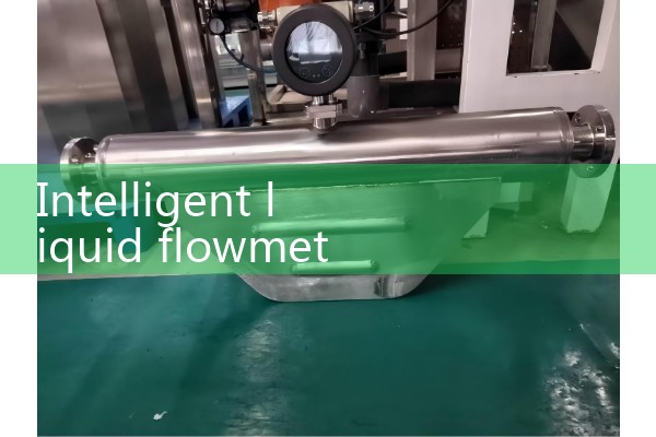 Intelligent liquid flowmeter