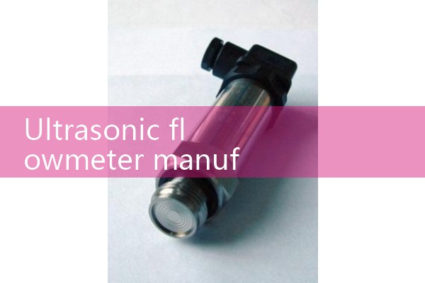 Ultrasonic flowmeter manufacturer