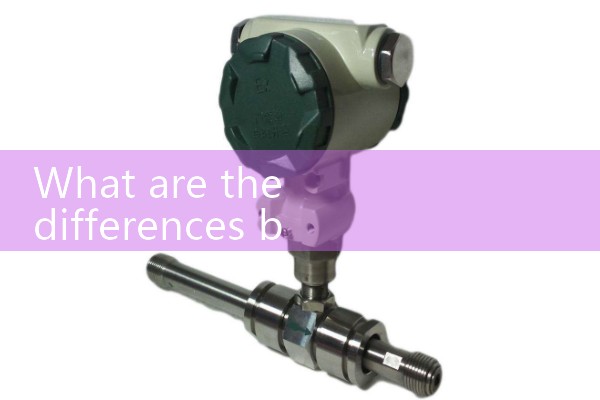 Rotary flowmeter