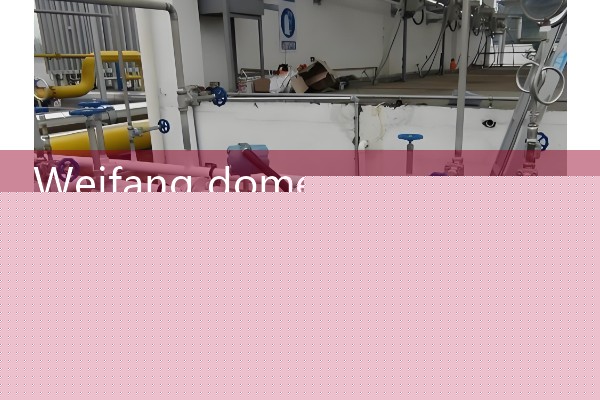 Weifang domestic quality flowmeter manufacturer