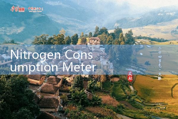 nitrogen consumption meter|digital flow meter