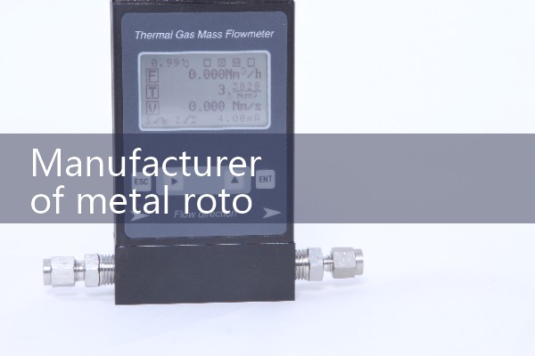 Manufacturer of metal rotor flowmeter