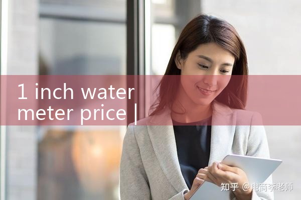 1 inch water meter price|rotameter flow meter