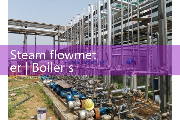 Steam flowmeter