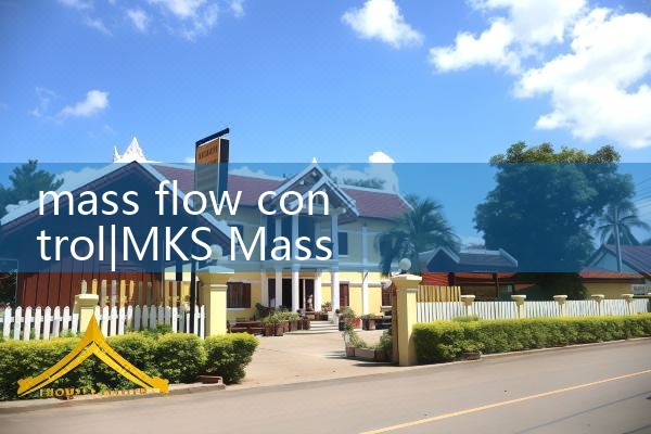 mass flow control|mass flow meter
