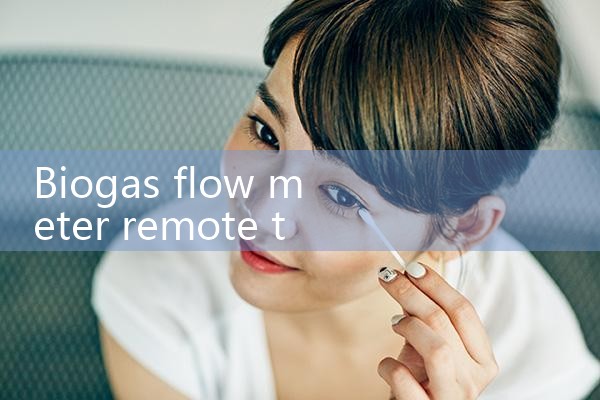 biogas flow meter remote type|flow meter distributor