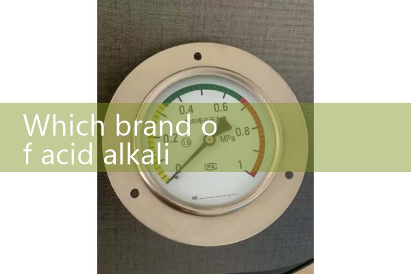Acid alkali flowmeter