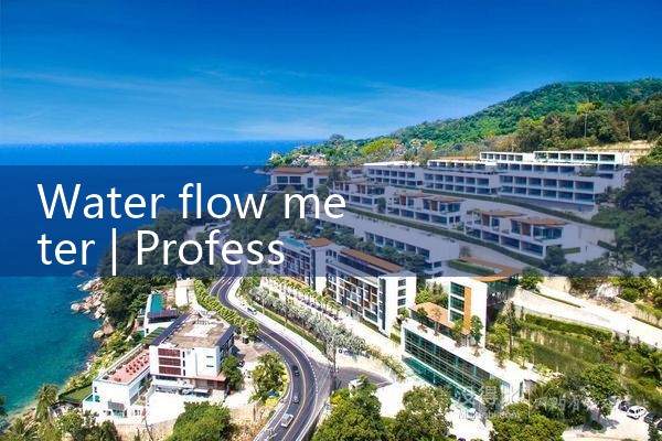 water flow meter|rotameter flow meter