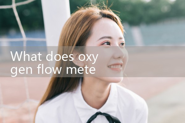 nitrogen flow meter installation|flow meter distributor