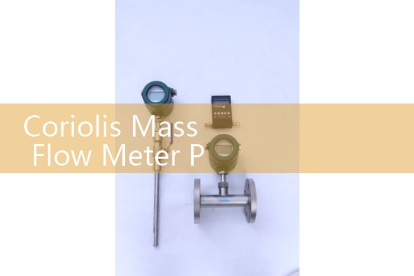 Coriolis Mass Flow Meter PDF: Technical Specifications Reference Library Guide