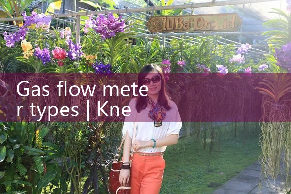 gas flow meter types|rotameter flow meter