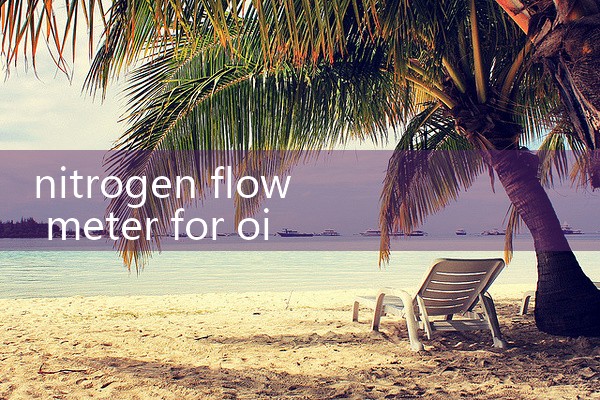nitrogen flow meter for oil and gas|flow meter distributor