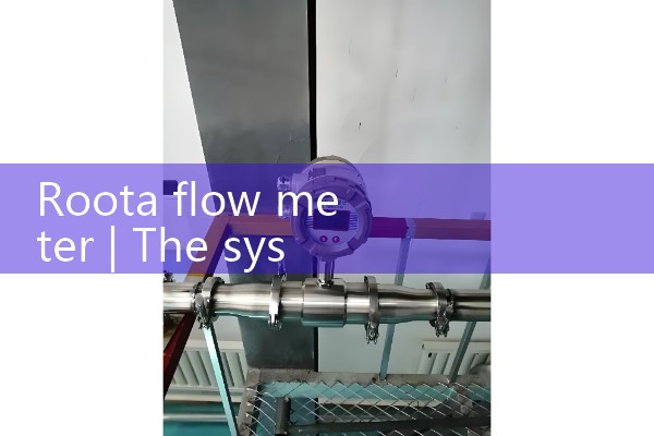 roota flow meter