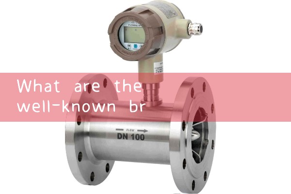 Quotation from Hefei Quality Flow Meter Manufacturer