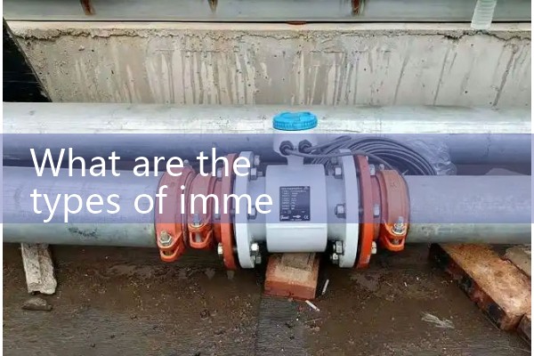 Immersion flowmeter