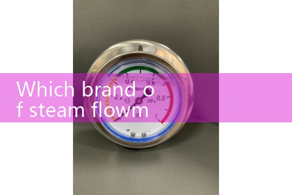 Steam flowmeter brand