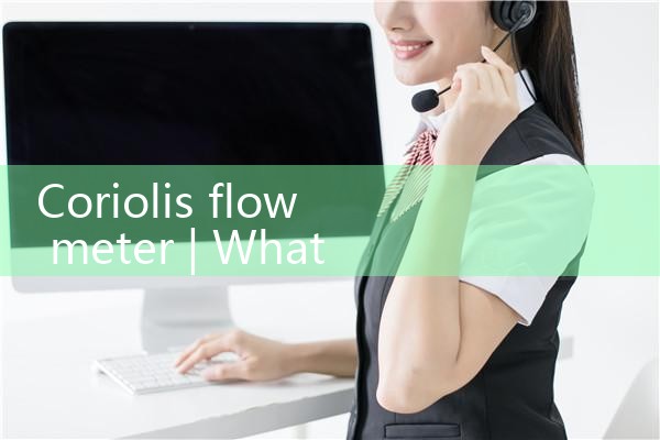 coriolis flow meter|digital flow meter