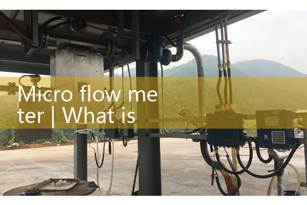 Micro flowmeter