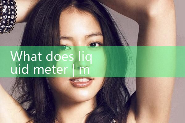 liquid meter|digital flow meter