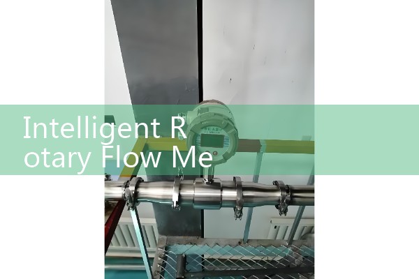 Intelligent rotary flow meter