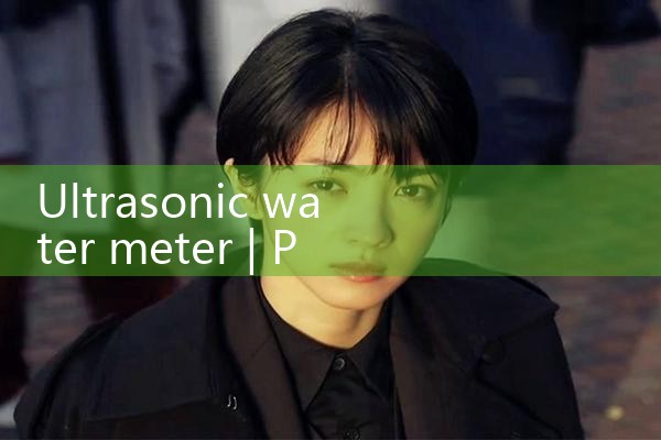 ultrasonic water meter|rotameter flow meter