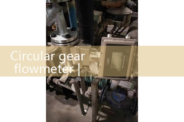 Circular gear flowmeter