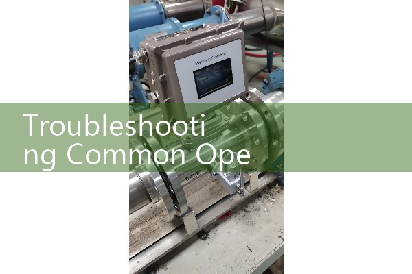 Troubleshooting Common Operational Anomalies in a Corolis Flow Meter