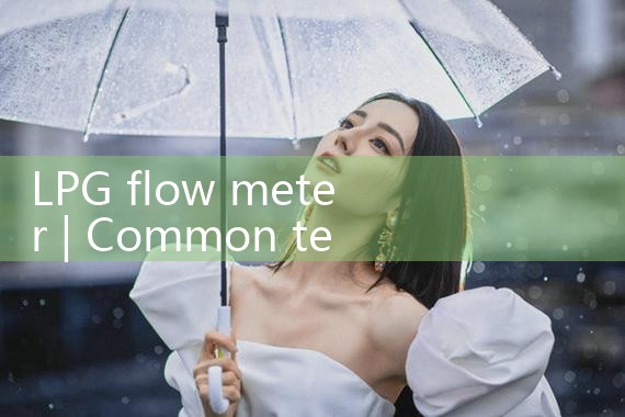 LPG flow meter|balo meter