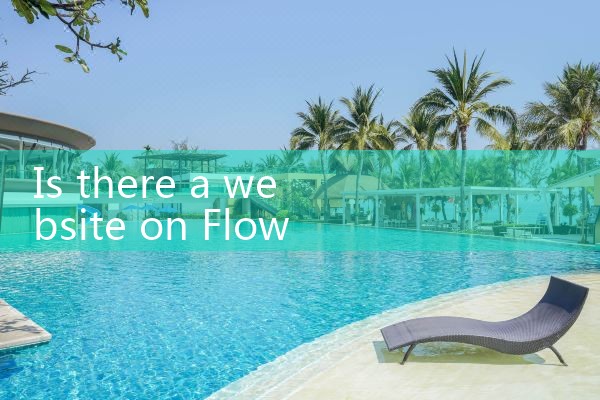 flow instruments|rotameter flow meter