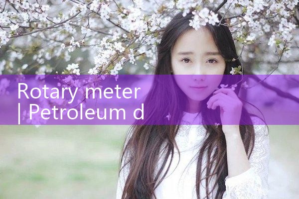 rotary meter|digital flow meter