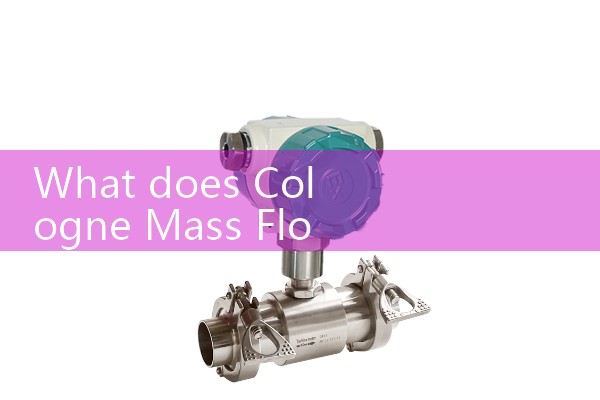 Mass flow meter communication