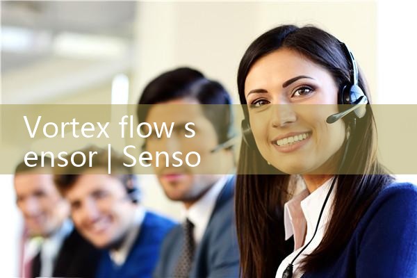 vortex flow sensor|rotameter flow meter
