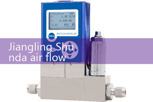 Jiangling Shunda air flow meter