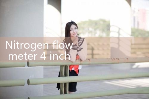 nitrogen flow meter 4 inch|digital flow meter