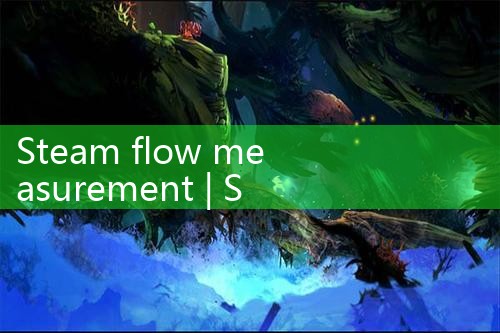 steam flow measurement|rotameter flow meter
