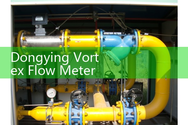 Dongying Vortex Flow Meter