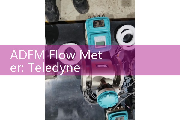ADFM Flow Meter: Teledyne pulse Doppler open channel level loggers.