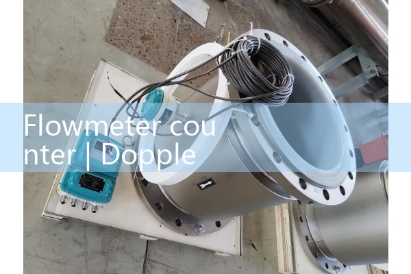 Flow meter counter