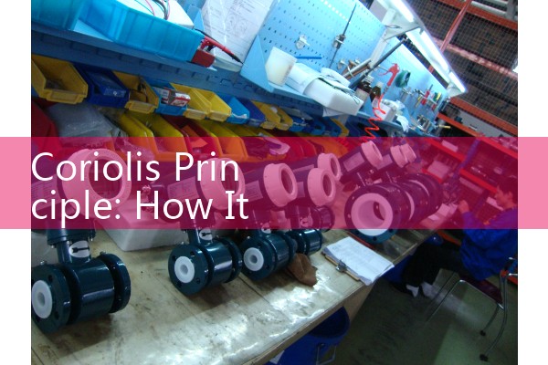 Coriolis Principle: How It Measures Mass Flow